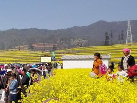 峨山塔甸镇举行第十届原生态彝文化祭鼓暨油菜花旅游节