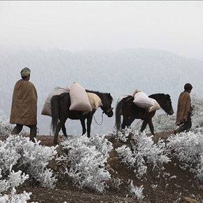 巴古乡之雪