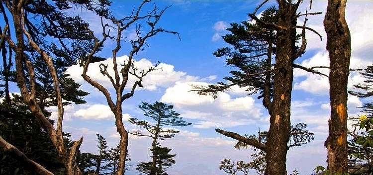 螺髻山风光(张万高)