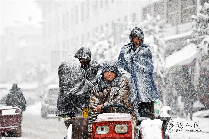 暴雪-雷鸿