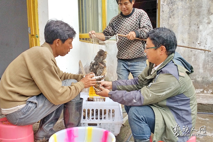 和村民一起交流岩鹰鸡养殖技术.jpg