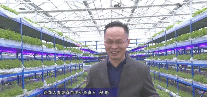 未标题-10.gif