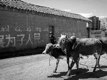 袁林摄影《疫情中凉山拖觉镇》