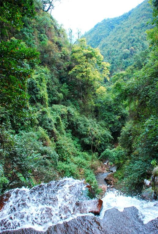 河流流域林木茂密，瀑布落差大，在近千米的河道上有高低落差瀑布十余个，最高瀑布落差40余米，形成各具特色的瀑布群。