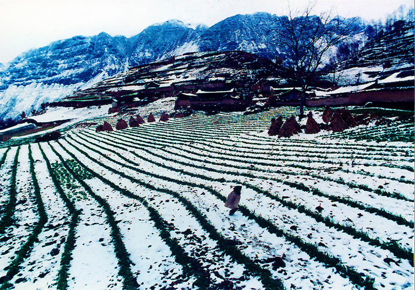 雪原村寨