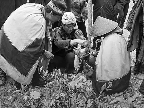 影像记录：彝人祭祖·尼木措毕