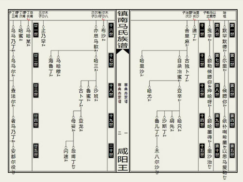 南华郑和研究重大发现——咸阳王后裔世居镇南