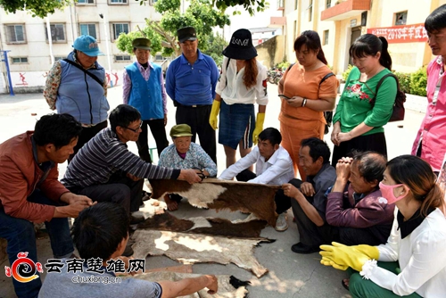 宜就镇举办羊皮褂培训班3（李赞阳摄）